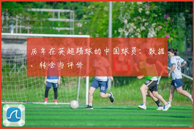 历年在英超踢球的中国球员：数据、转会与评价