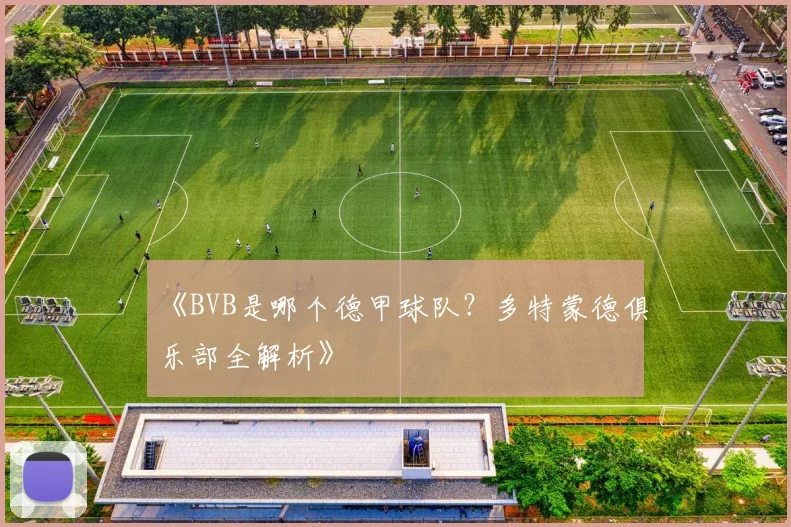 《BVB是哪个德甲球队?多特蒙德俱乐部全解析》