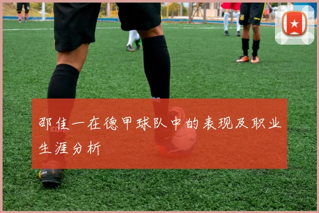 邵佳一在德甲球队中的表现及职业生涯分析