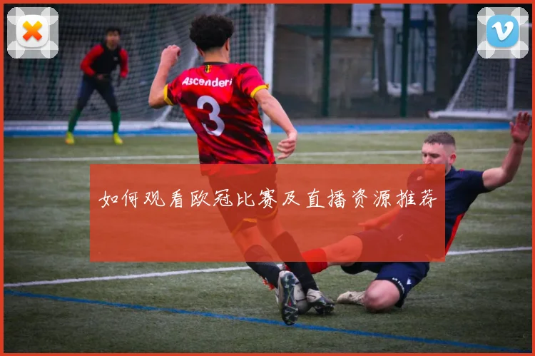 如何观看欧冠比赛及直播资源推荐