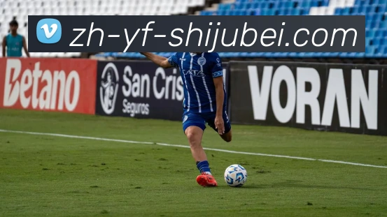 世界杯赛程表平台生态图